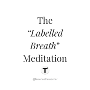 The "Labelled Breath" Meditation - 3.00min